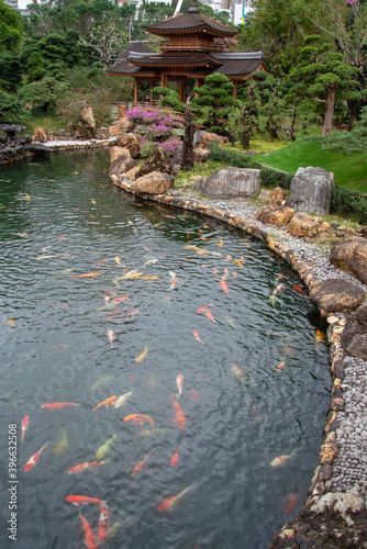 japanese garden