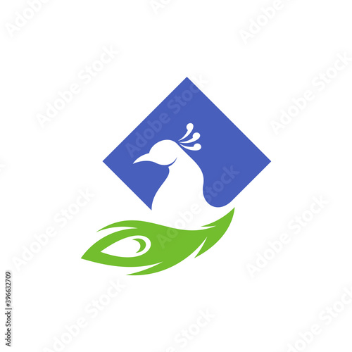 Peacock logo vector template, Creative Peacock logo design concepts, Illustration