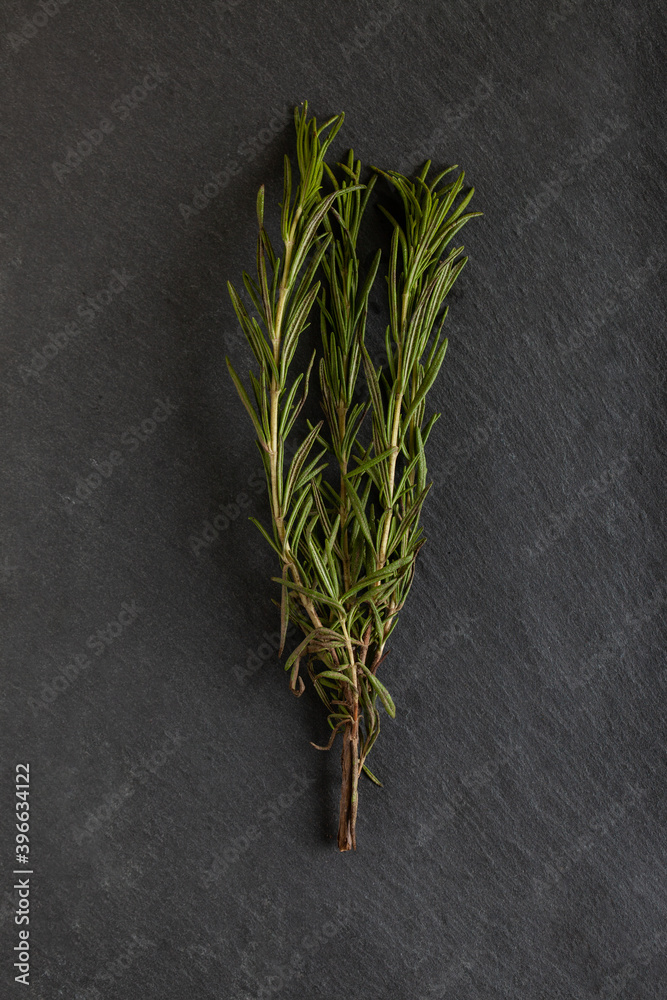 Rosemary herb on a dark concrete background. Rosemary herb on a dark concrete background.
