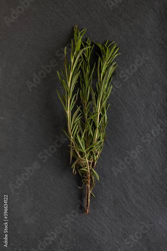 Rosemary herb on a dark concrete background. 