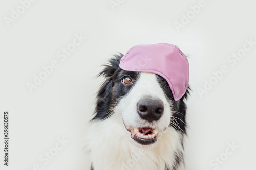 Do not disturb me  let me sleep. Funny cute smiling puppy dog border collie with sleeping eye mask isolated on white background. Rest  good night  siesta  insomnia  relaxation  tired  travel concept