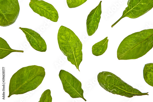 Plant pattern from spinach green natural organic leaves on a white background. © artjazz