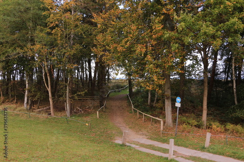 Herbstliche Küstenlandschaft bei Zingst an der Ostsee photo