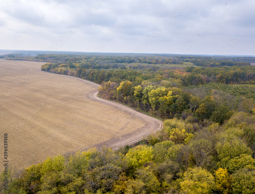 Agricultural plowed fields with yellow autumn woods on a cloudy day.