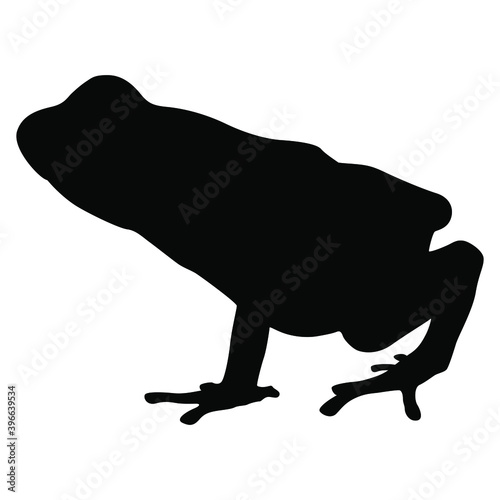 Tropical South American dart poison frog. Ranitomeya. Black silhouette on white background.