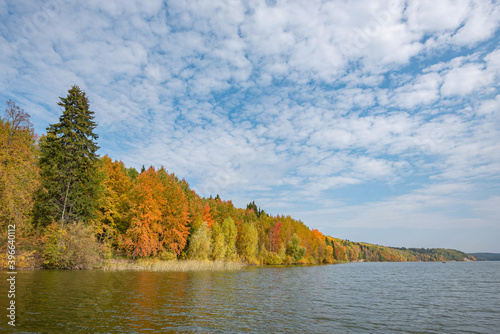 Autumn forest trees are reflected in the river water of the panoramic landscape. Blue sky with clouds.