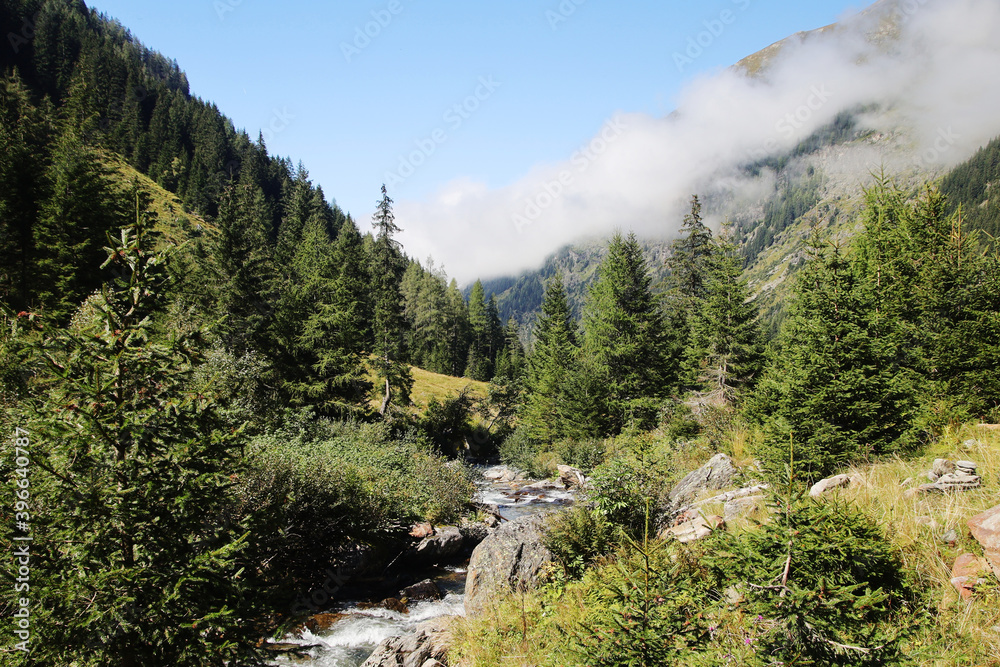 The mountain river Untertal valley in Styria, Austria The mountain river Untertal valley in Styria, Austria