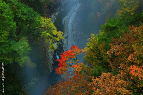 秋田県 紅葉の小安峡