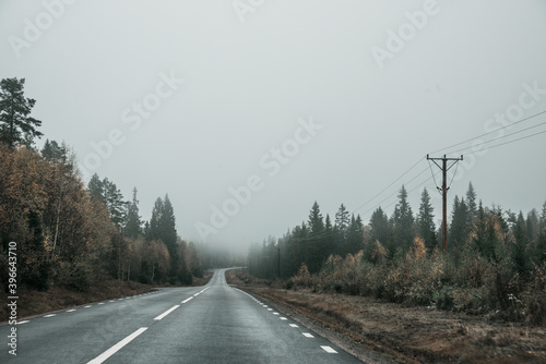 Foggy autumn road 