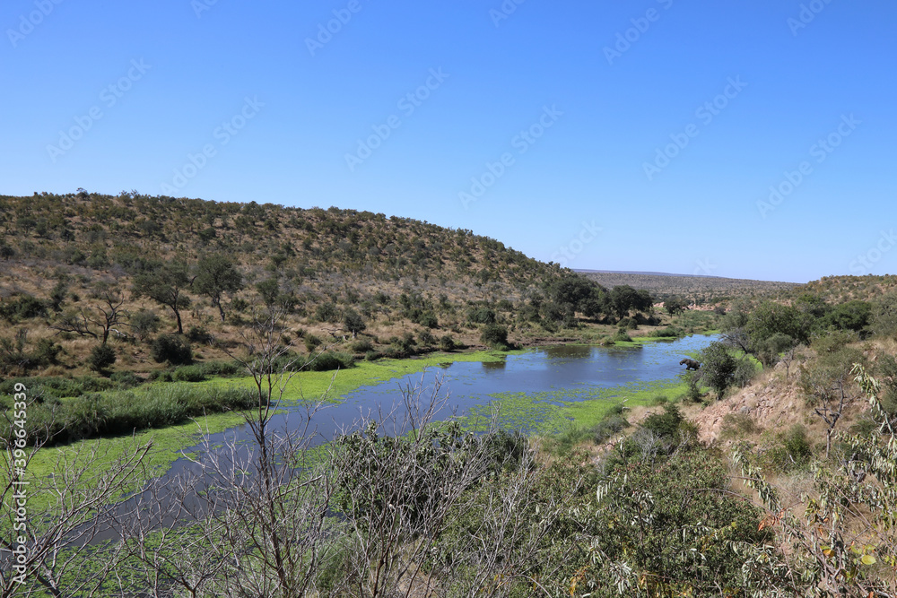 Afrikanischer Elefant im N'waswitsontso River/ African elephant in N'waswitsontso River / Loxodonta africana Afrikanischer Elefant im N'waswitsontso River/ African elephant in N'waswitsontso River / Loxodonta africana