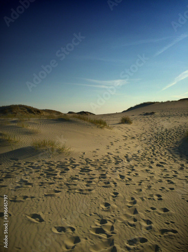 There are a lot of footprints on the dune at dusk.