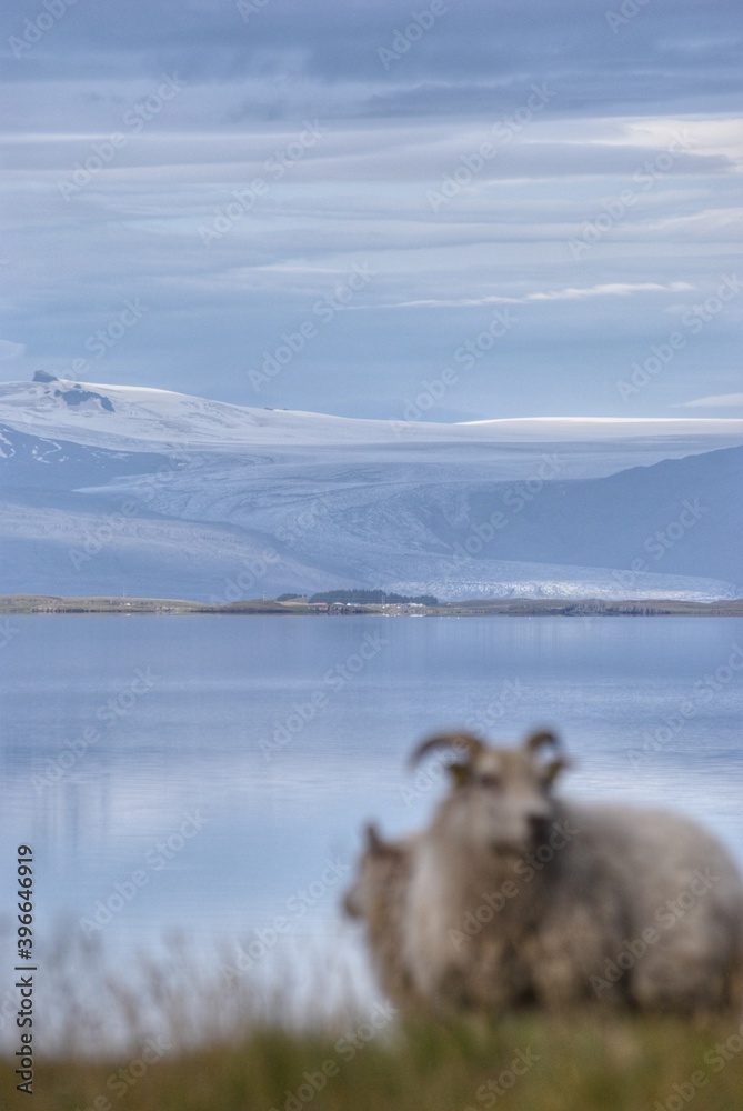 Fototapeta premium Vatnajökull view from Stokksnes, Iceland