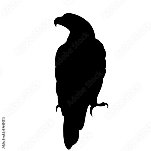 Icon of eagle silhouette. Black vector illustration of predatory bird