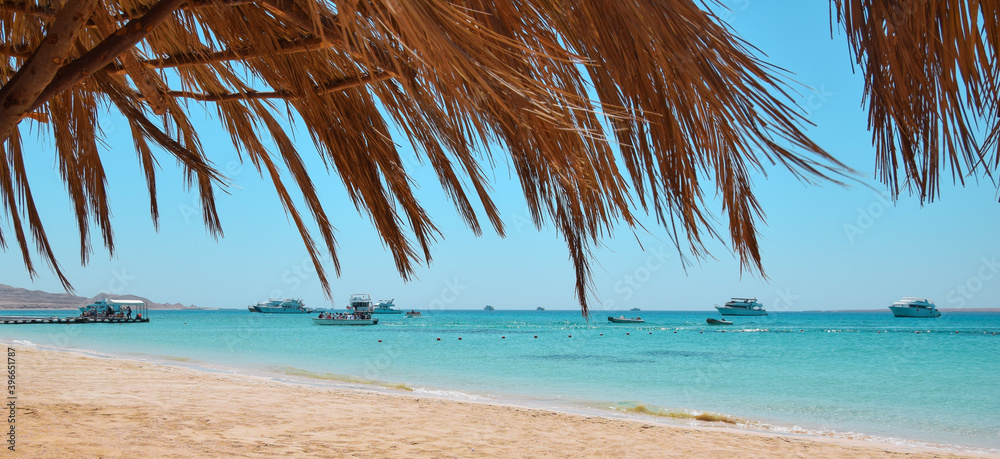 Fototapeta premium Rajska plaża z turkusowym morzem.