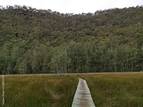 Beautiful view of a boardwalk hiking trail in the national park, Crosslands Reserve, Berowra Valley National Park, Sydney, New South Wales, Australia
 photo