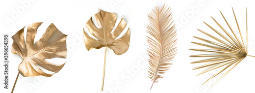 Set of golden palm leaves on white.