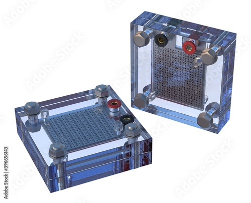 Hydrogen fuel cell
