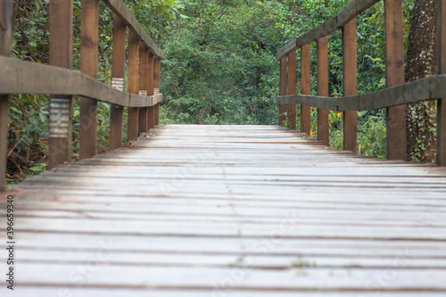 Escaleras de madera en el bosque  para caminar o practicar senderismo y ecoturismo