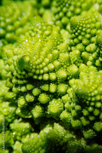 Close up of Romanesco broccoli