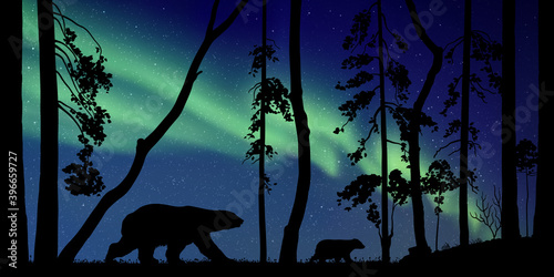 Bears family in forest at night. Animal silhouettes. Aurora borealis