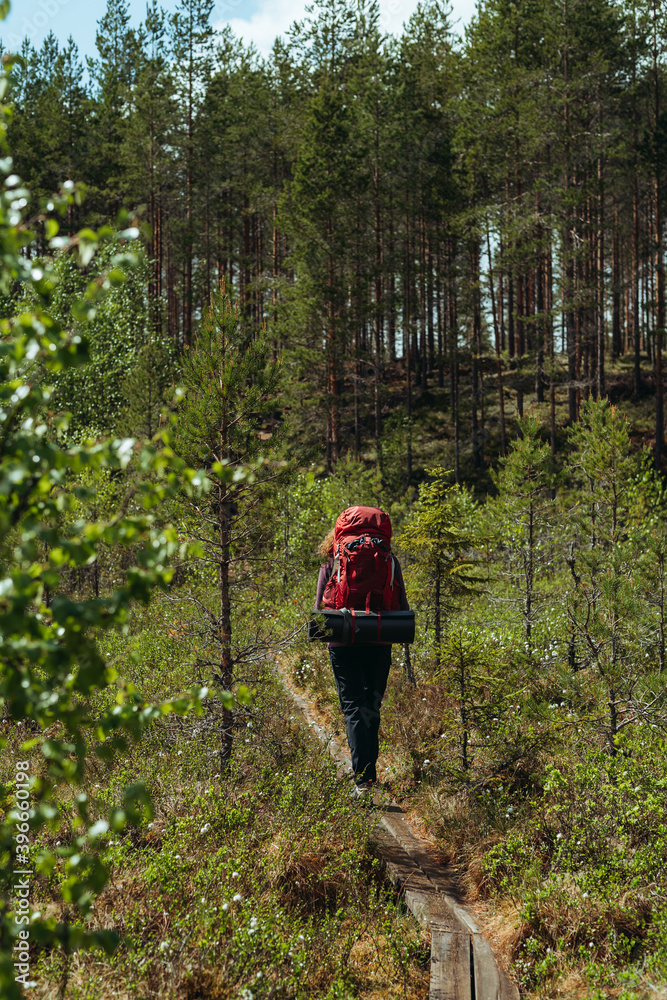 Rear view of hiker walking on path passing through forest Rear view of hiker walking on path passing through forest