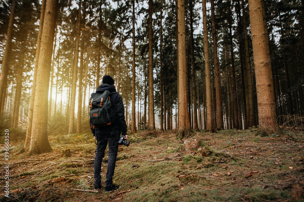 Fotograf im sonnigen Wald 