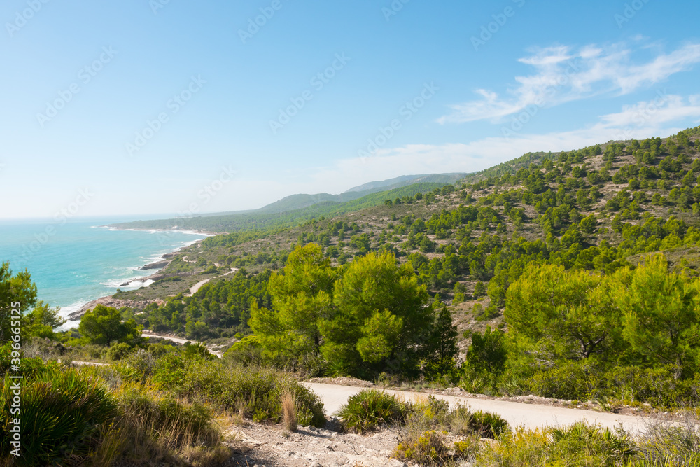 Mediterranean sea coast, pine forest and mountains on a sunny summer day. Beautiful Serra d'Irta natural park, Castellon province, Valencian community, Spain. Located between Peniscola and Alcossebre.