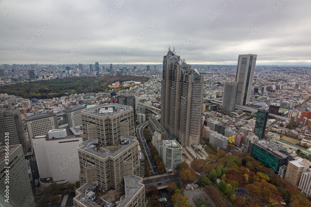 High buildings in Shinjuku district in Tokyo (Japan)