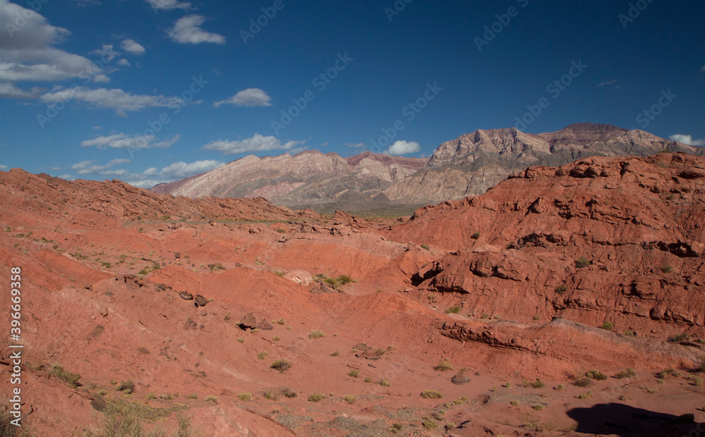 Fototapeta premium The red canyon. View of the arid desert, valley, sandstone, rocky formations and mountains under a deep blue sky in Talampaya national park in La Rioja, Argentina.