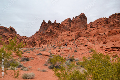 Obraz na płótnie Valley of Fire, Nevada w salonie