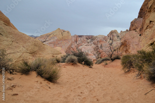 Obraz na płótnie Valley of Fire, Nevada w salonie
