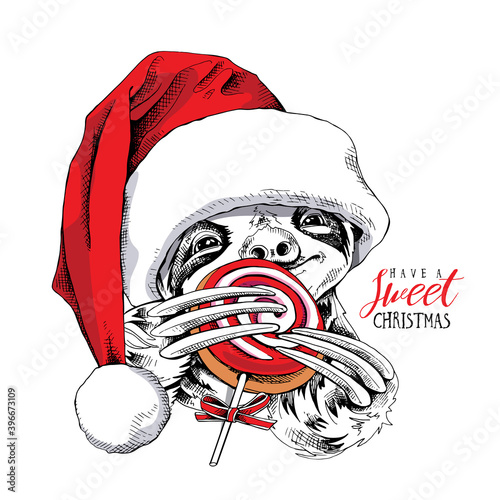 Adorable smiling sloth in a red Santa's hat with a cookie. Have a sweet Christmas - lettering quote. New year card, Humor composition, hand drawn style print. Vector illustration.
