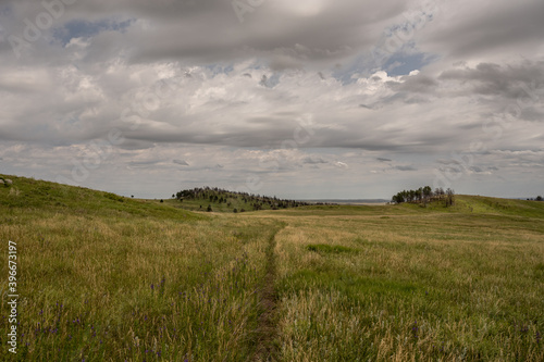 Thin Trail Cuts Through Thick Prairie