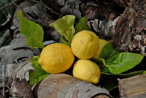 Lemons on wood