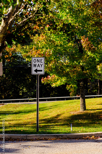 one way sign in tree lined area