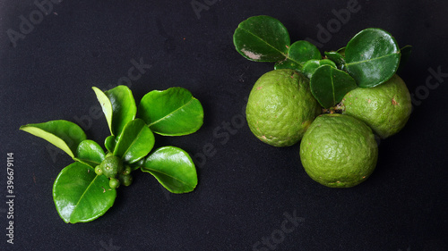 Kaffir Lime or Citrus hystrix small and large sizes. There are leaves. Focus selected, black background © tarasari
