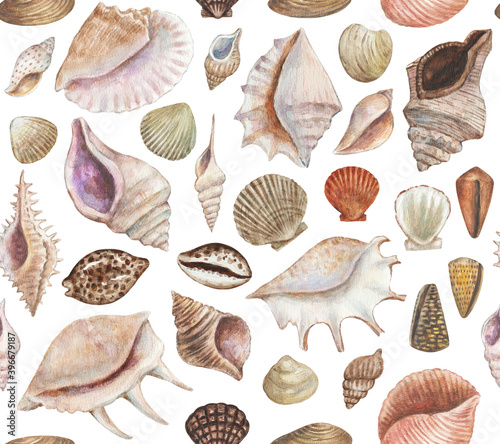 Seamless pattern with sea shells and conchs. Watercolor painting. 
