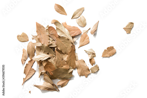 Dried bay leaves on white background