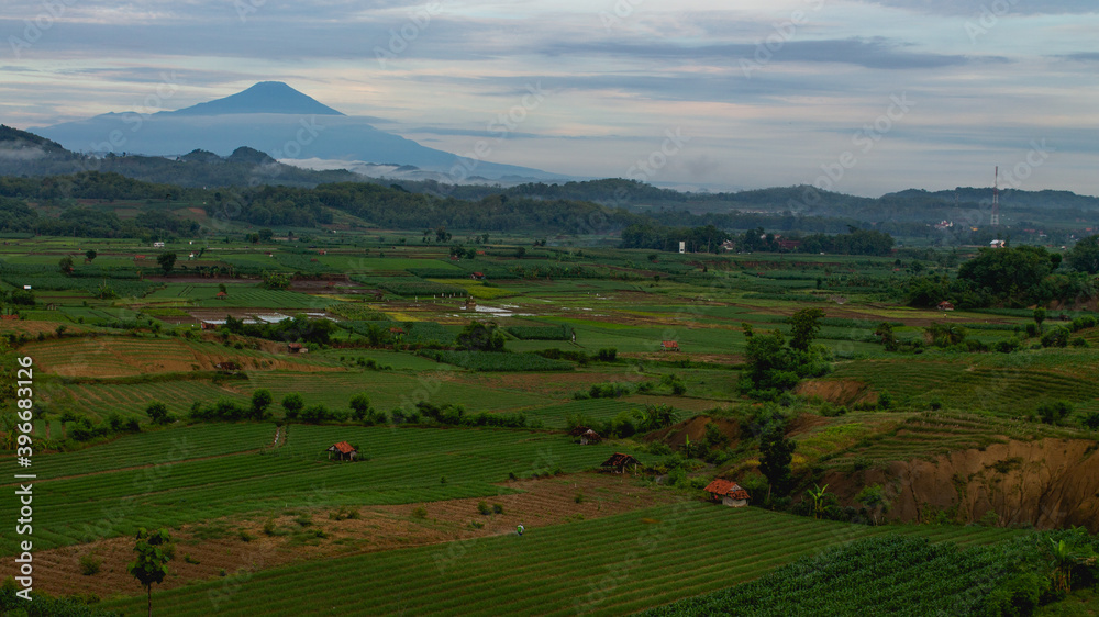 Morning view of farmer's fields Morning view of farmer's fields