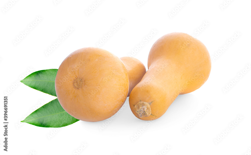 Butternut squash isolated on white background Butternut squash isolated on white background