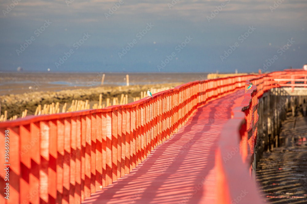 Obraz premium Golden natural sea sunrise view of Mangrove forest and wooden bridge with orange sky landscape at Bangkhuntien, Bangkok, Thailand.