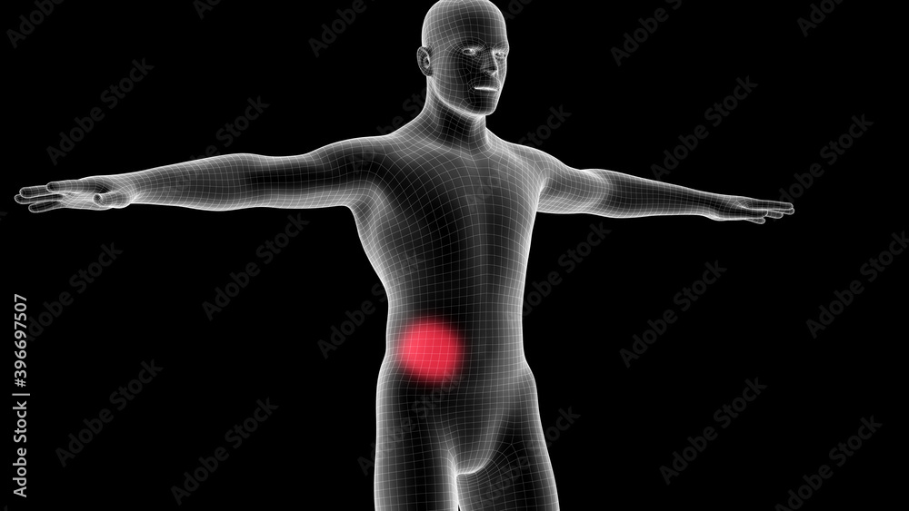 Obraz premium 3d illustration of a men xray hologram showing pain area on the chest area