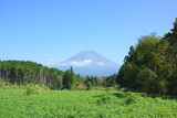 真夏の富士山