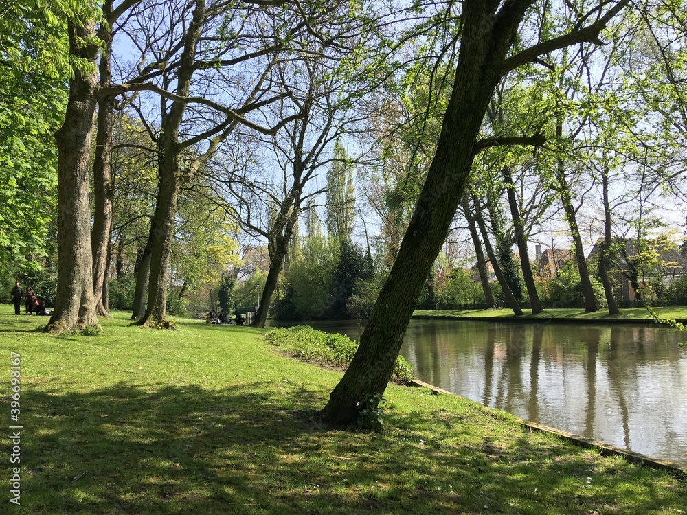 Trees and river in Bruges, Belgium