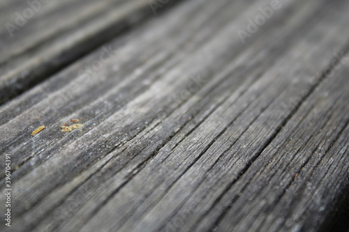 Close-up of wood 4K HD