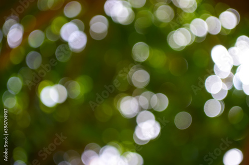 Bokeh natural wallpaper background grow light rays colorful