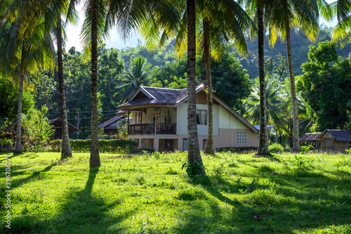 Sunny tropical landscape with palm trees and village house. Eco-friendly house in jungle forest. Philippines real estate market for expats and pensioners. Tropical house sunny view