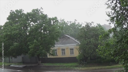 Strong gusts of wind sway trees during a thunderstorm period. Abundant raindrops in bad weather