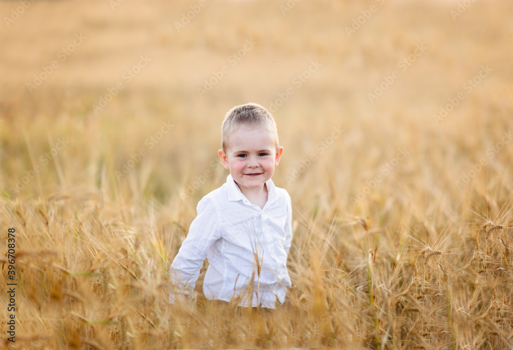 Caucasian cute blond boy in a wheat field, the concept of childhood in the village and summer, good harvest and natural products Caucasian cute blond boy in a wheat field, the concept of childhood in the village and summer, good harvest and natural products