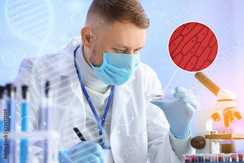 Scientist working with samp...